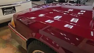 1988 Mustang GT Walkaround and Cold Start