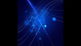 Bitpetite Live Stream