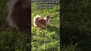 #рек #реки #рекомендации