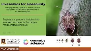 S3 Eco-evo - Eli Parvizi - Population genomics inights into invasion success in the agricultural pes