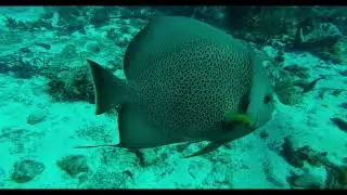Cozumel, Mexico