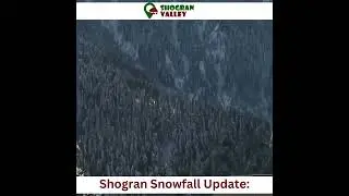Shogran Snowfall Travel Guide for Shogran, Siri Paye & Sharan Forest | March 2025 #shogranvalley