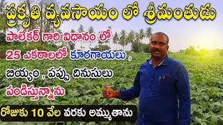 ప్రకృతి వ్యవసాయం | Organic Vegetables and Rice Farming - Farmer Success Story | N5 Media