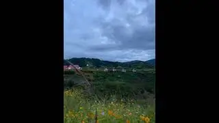 Naamai zho koide ,senapati,Manipur