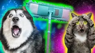 FUNNY CAT MEMES 2022 #4