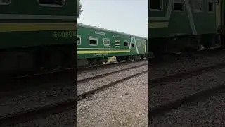 Green Line Express Passing. #viralvideo #fyp #shorts