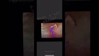#animation #flipaclip #animationapp #ant #bulletant #trapjawant #ants #art #animatic