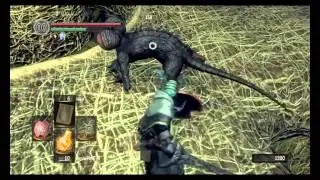 Dark Souls - First Playthrough - Episode 25 - The Great Hollow - Ash Lake