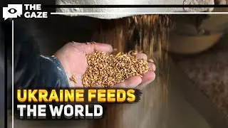 Ukraine's Grain Corridor: Battling Famine Amidst Russia's Invasion | The Gaze