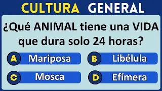 ¿Que Tan Bueno Eres En Cultura General?  Descúbrelo