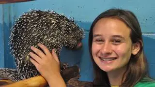 Sessions  8 & 9 Camp Memories - 2019 Camp Season - Cub Creek Science Camp