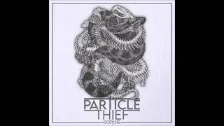 Particle Thief - The Fall