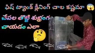 How to clean fish tank 🤔 #viral #fishtankcleaning #trending #fishaquarium