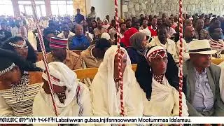 Labsiiwwan Gubaa, Injifannoowwan Mootummaa Ida'amuutin 2025 /Malkaa Noonnoo/