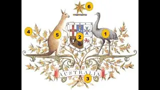The Australian Coat of Arms