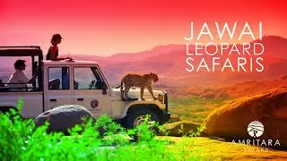 Discover Luxury and Wildlife at Amritara Jawai Resort | Leopard Safaris & Scenic Views!