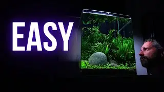 I made SIMPLE NANO CUBE AQUARIUM | Step by step AQUASCAPING TUTORIAL | EP1