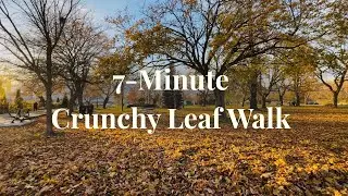 🍂 7-Minute Crunchy Leaf Walk in Toronto | Autumn Sound Walk
