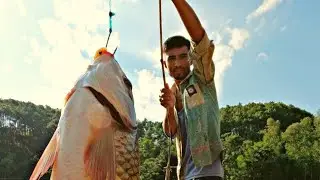 Catching fish with Hook 🎣🎣