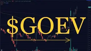 Canoo stock $GOEV