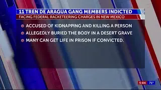 11 Tren de Aragua members indicted in federal racketeering case