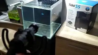 Seachem tidal 55 - sound test
