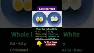 Whole Egg vs Egg White🥚Which Is Best