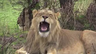 EPIC AFRICA: A Multi-Generational Safari to East Africa August 2013