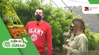 Mallas antigranizo para proteger los cultivos