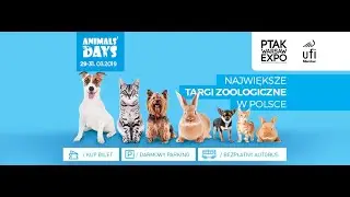 Animals' Days 2019 Targi Zoologiczne| Ptak Warsaw Expo