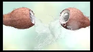 Coconut Splash