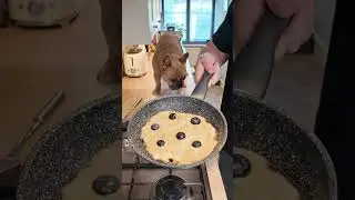 🐾🥞 Dog friendly pancake recipe 🥞🐾 Tuesdays with Chef TJ #pancake #dogrecipes #pancakeday