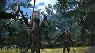 FINAL FANTASY XIV - Mei Sirenus - Foulques II