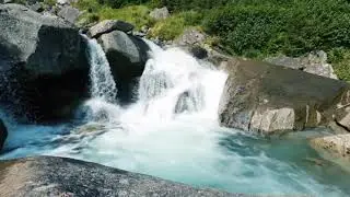 TMossBoss Commentary By TMossBoss