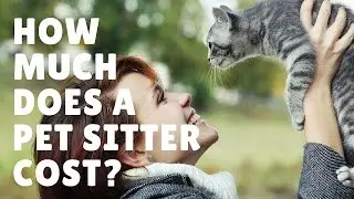 How Much Does A Pet Sitter Cost?