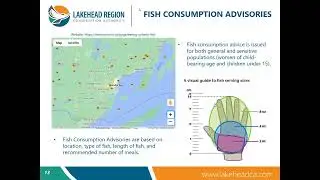 Fish Contaminants and Consumption Advisories (Fall Webinar)