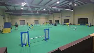 Nessie training runs 11-6-25