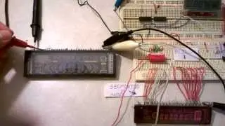 DISPLAY FLUORESCENTE