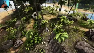 MrSansFox Live Stream Random Games