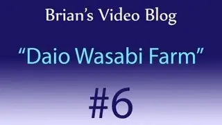 Daio Wasabi Farm - Brian's Video Blog - September 4, 2013