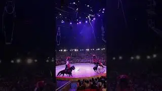 Джигитовка Таджикистан в Китае , Город Шанхай .#horses #horse #circus #circuslife