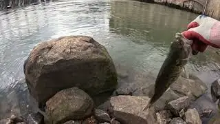 Catawba river fishing #fishing