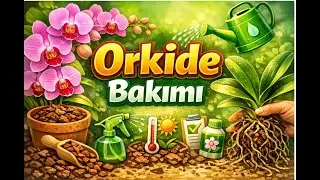 ORKİDE VE BAKIM İPU&Ccedil;LARI