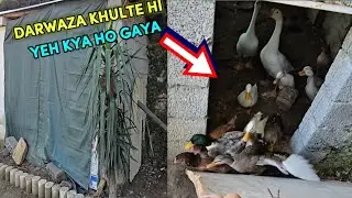 Jaise Hi Subah Darwaza Khola to Hungama Mach Gaya