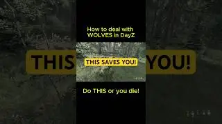 How to Survive Wolves in DayZ (New player tip)