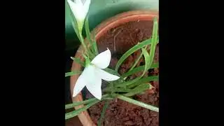 Gardening is a therapy it&rsquo;s feel me like inner child happy 😊 #wow