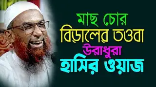 মাছ চোর বিড়ালের তওবা ।। হাসি আনন্দের মাঝে শিক্ষনীয় ওয়াজ  Maulana Nasir Ahmad Gopalganj