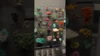 Natural History Museum NYC: Mignone Halls Of Minerals & Gems