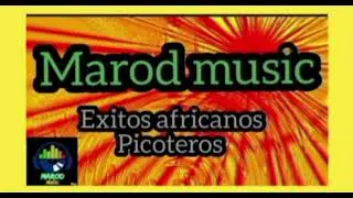 AFRICA ESPELUCA - EXITO AFRICANO PICOTERO.