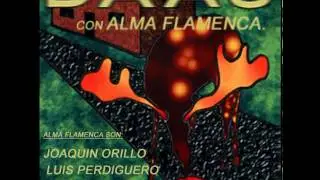 DAAU con Alma Flamenca - Con Tomate (Reprise).